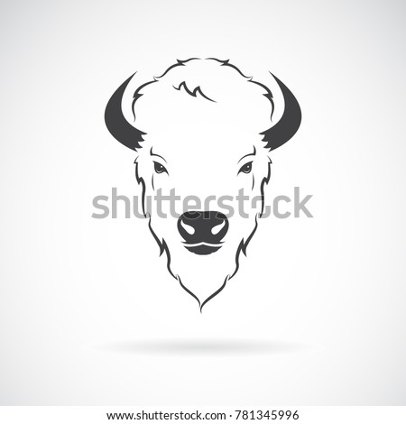 bull clipart carabao bull carabao transparent free for download bison head clipart stunning free transparent png clipart images free download bull clipart carabao bull carabao