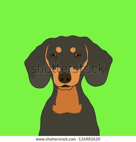 Featured image of post Dachshund Cartoon Face Check out our dachshund cartoon selection for the very best in unique or custom handmade pieces from our digital shops