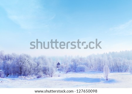 a house in snow-covered forest in winter day with blue sky