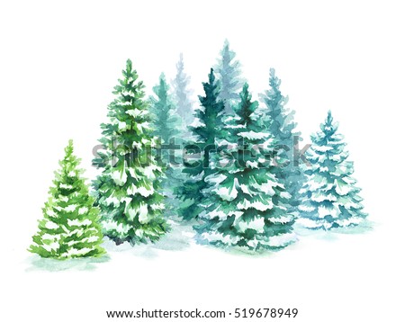 watercolor coniferous forest illustration, Christmas fir trees, winter nature, holiday background, conifer, snow, outdoor, snowy rural landscape