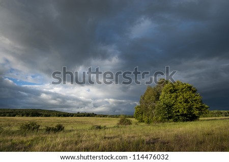 Cloudy Landscape