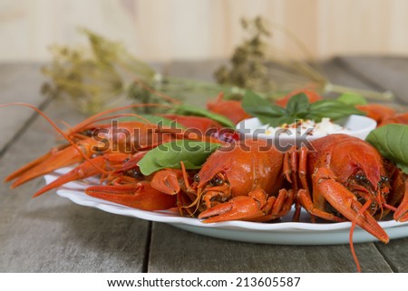 Plate with red boiled crayfish and herbs with white sauce on the side on a wooden table, background in rustic style, close-up, selective focus on one crawfish