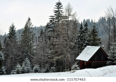 A landscape of Gorce mountains with coniferous trees and a mountain cabin during winter.