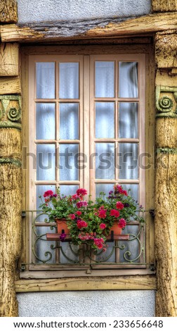 Window in a French Village