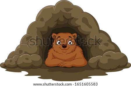 Cartoon happy brown bear in the cave Photo stock © 
