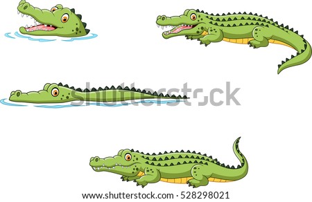  Crocodile collection set

