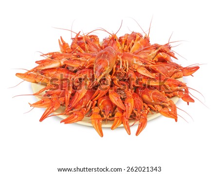 A large dish of boiled crayfish isolated on white background