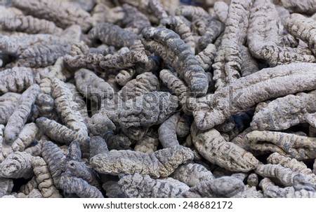 Dried edible insect larva at a market in Chinatown, NY