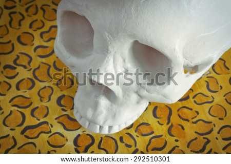 Cool human skull against leopard print background