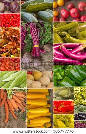 Variety of popular farmers market fruits and vegetables in produce collage imagery