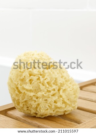 Sea Sponge in bathroom