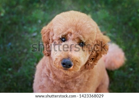 Shutterstock Puzzlepix