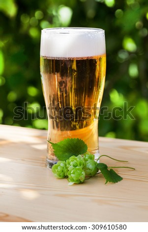 glass of beer with hops on the wooden sun, garden, street, delicious, beautiful, light gold, tasty, beautiful