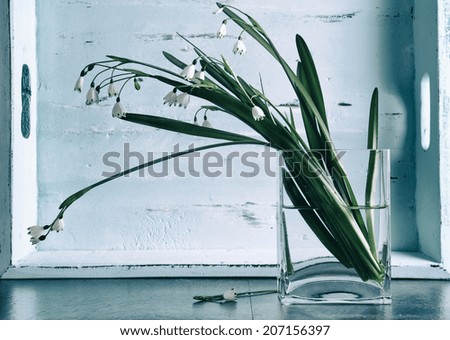 Winter snowdrops in square glass vase against aqua blue vintage tray on kitchen black slate counter top - with retro vintage filter.