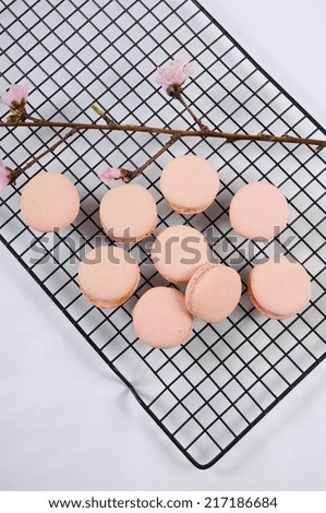 Pink macarons on baking tray with pink spring blossom branch.