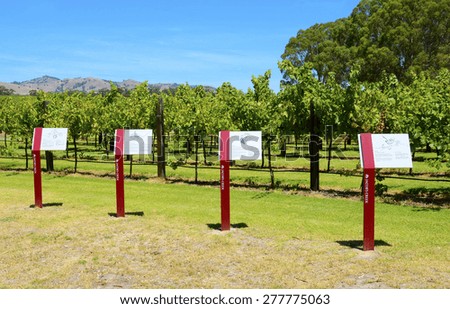 BAROSSA VALLEY, AUSTRALIA - DECEMBER 31, 2014: Grape and wine producing information at entrance to Jacobs Creek, Orlando Wines, Visitor Center at Rowland Flat, Barossa Valley.