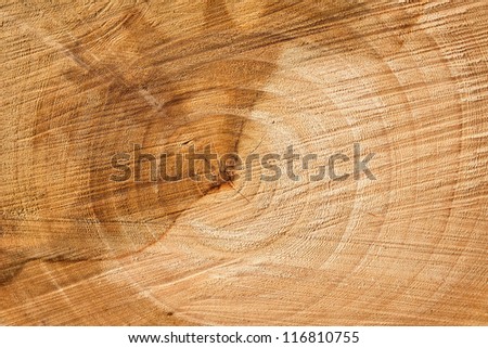 Close up wood section