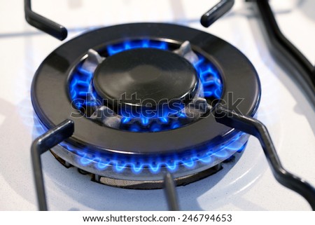 Burning gas ring on a domestic stove top providing power and energy for cooking