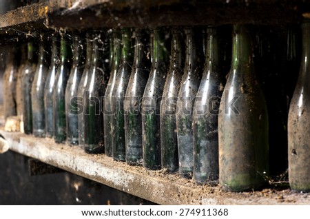 Old unlabeled dusty wine bottles on a cellar shelf in a concept of wine making and viticulture