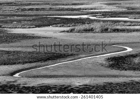 Black and white landscape of the Drowned Land of Saeftinghe, Netherlands