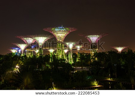 SINGAPORE - AUG 23: Night View of Super Tree Grove on August 23, 2014 in Singapore. Gardens by the Bay is the most attractive landmark for tourism at Singapore.