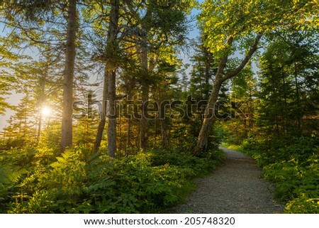 Warren lake path (Cape Breton Highlands National Park, Canada)