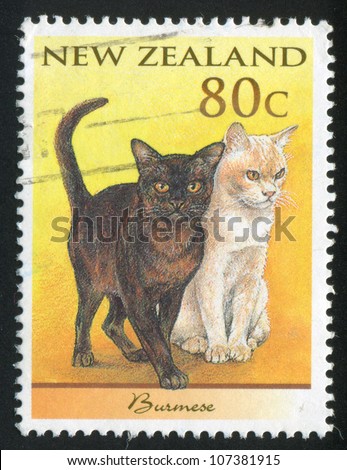 NEW ZEALAND - CIRCA 1998: stamp printed by New Zealand, shows Domestic Cat, Burmese, circa 1998