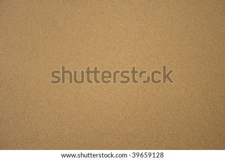High resolution image. Sand texture. A sandy background. Natural material.