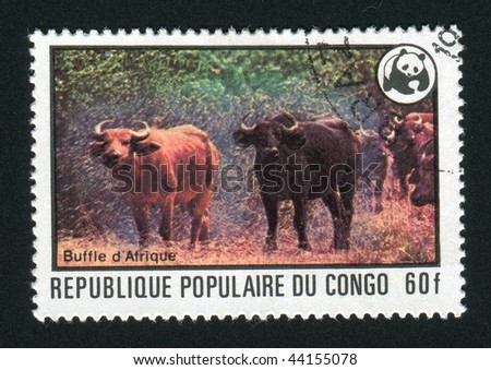 CONGO - CIRCA 1978: Endangered animals and Wildlife Fund Emblem. African Buffalos, circa 1978.