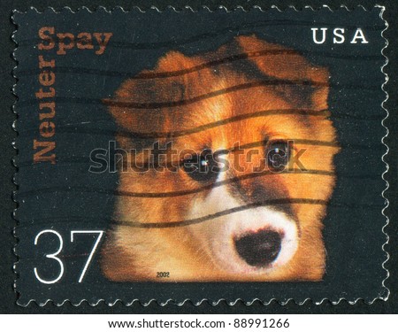 UNITED STATES - CIRCA 2002: stamp printed by United states, shows dog, circa 2002
