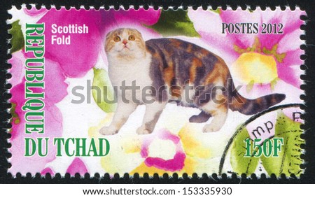 CHAD - CIRCA 2012: stamp printed by Chad, shows Scottish fold cat, circa 2012