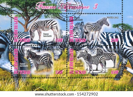 CHAD - CIRCA 2012: stamp printed by Chad, shows Zebra, circa 2012