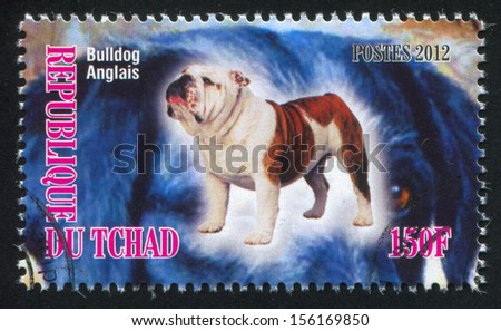 CHAD - CIRCA 2012: stamp printed by Chad, shows English Bulldog, circa 2012