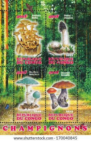 CONGO - CIRCA 2012: stamp printed by Congo, shows mushroom, circa 2012