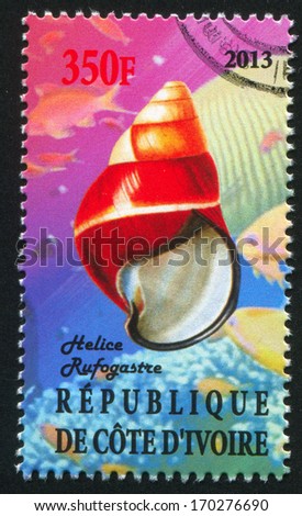 IVORY COAST - CIRCA 2013: stamp printed by Ivory Coast, shows Shell, circa 2013
