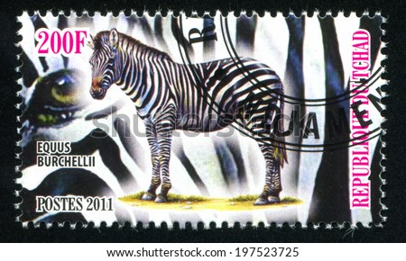 CHAD - CIRCA 2011: stamp printed by Chad, shows Zebra, circa 2011