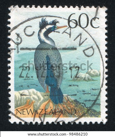 NEW ZEALAND - CIRCA 1988: stamp printed by New Zealand, shows Spotted shag, circa 1988