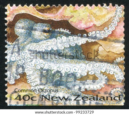 NEW ZEALAND - CIRCA 1996: stamp printed by New Zealand, shows Seashore, common octopus, circa 1996