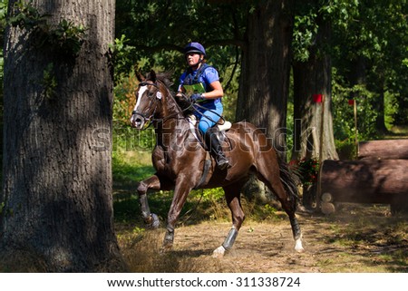 Poland . 2015 Year  August 30 Horse racing in the Moszna horse farm