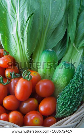 Queen tomatoes, cucumber, Bok Choy, Bitter melon