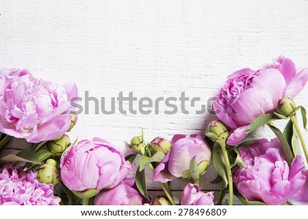 Pink peonies on white  wooden background