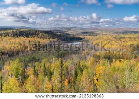 View of autumn colors in the Superior National Forest Foto d'archivio © 