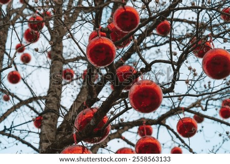 Similar – Image, Stock Photo Christmas market impressions