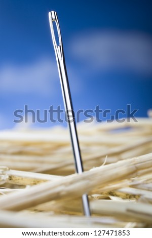 Close-up of needle in a haystack