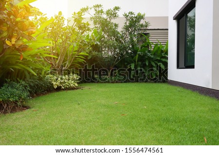 lawn landscaping with green grass turf in garden home Foto d'archivio © 