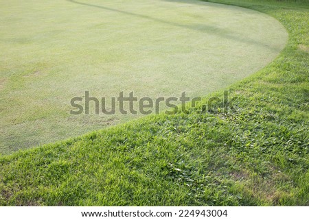 green grass field of golf course, sport background