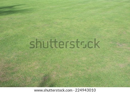 green grass field of sport playing area