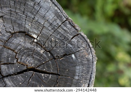 texture of black wood logs background with crack damage of aged annual rings