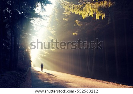 Image, Stock Photo Upside down: sunrise with reflection in the lake in the Dolomites
