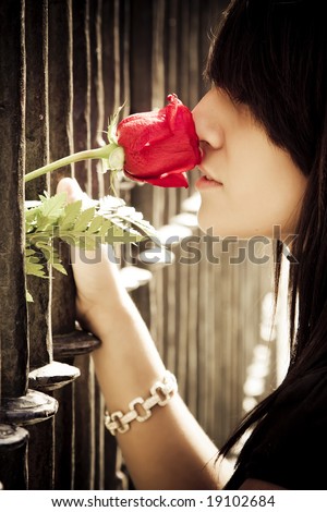Young anonymous woman smelling a red rose behind metal fence.